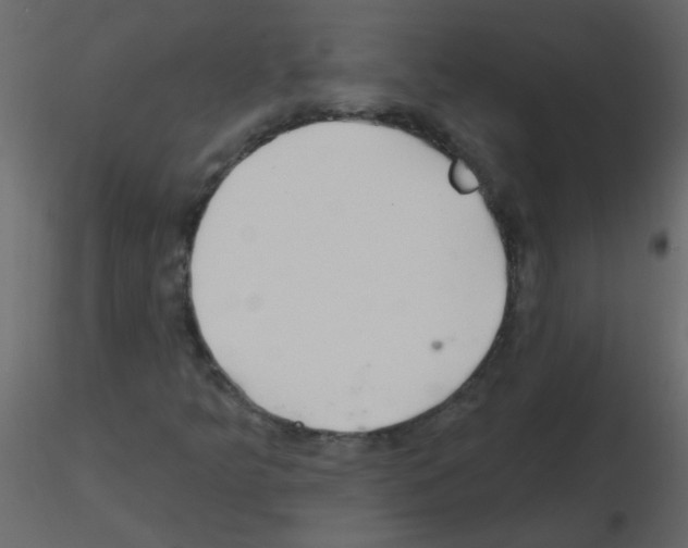 X0000115771349200912241741