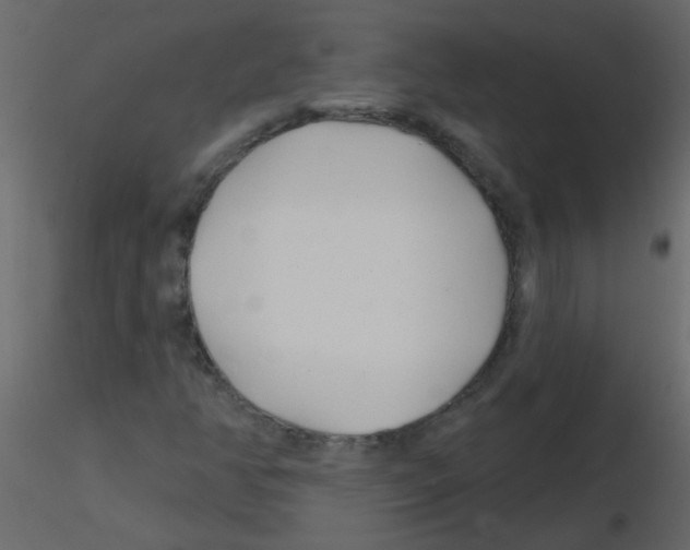 X0000115771350200912241741