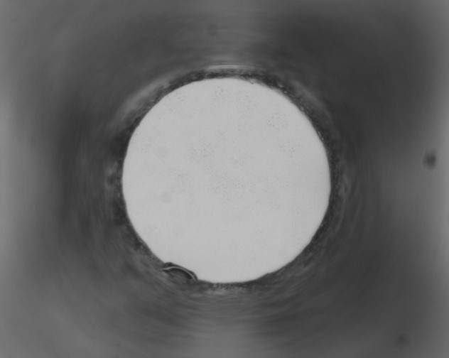 X0000115771351200912241741