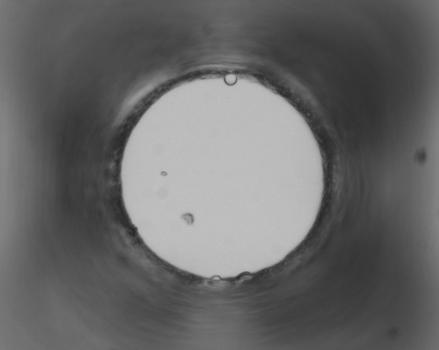 X0000115771352200912241741