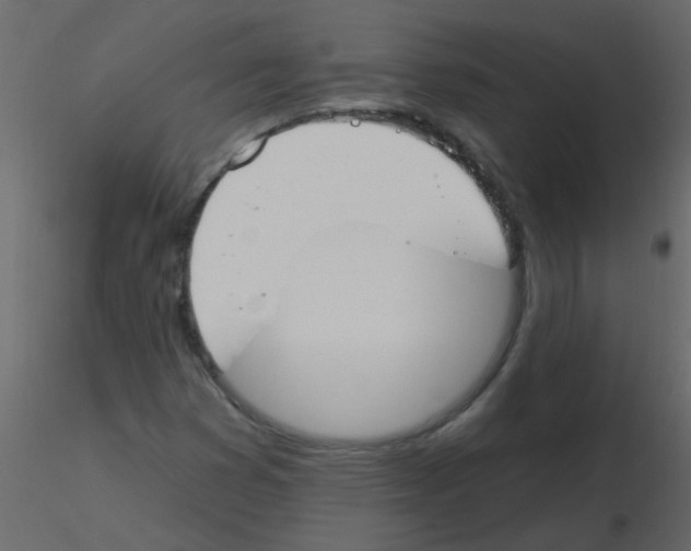 X0000115771353200912241741