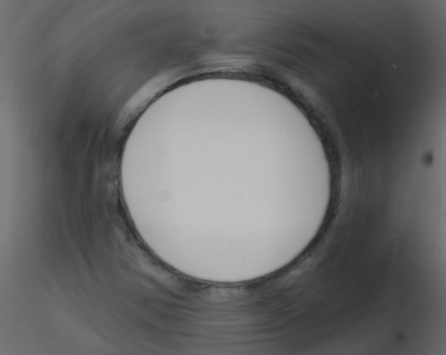 X0000115771354200912241741