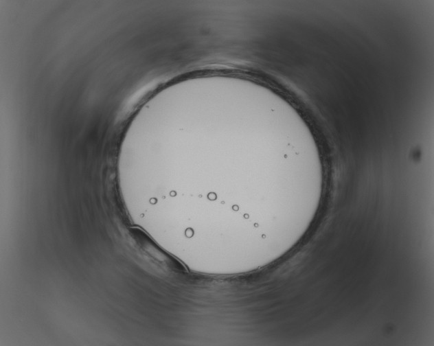 X0000115771355200912241741