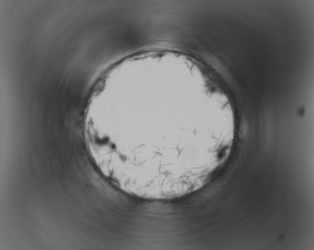 X0000115771356200912241741