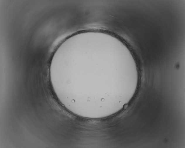 X0000115771358200912241741