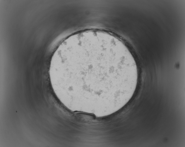X0000115771359200912241741