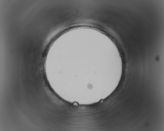 X0000115771360200912241741