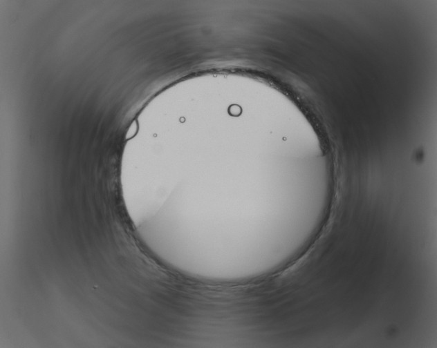 X0000115771361200912241741