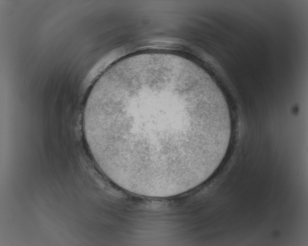 X0000115771362200912241741