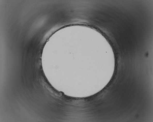 X0000115771363200912241741