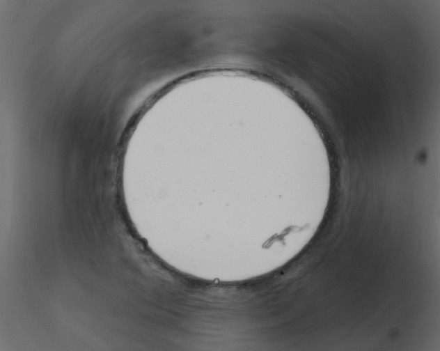 X0000115771364200912241741