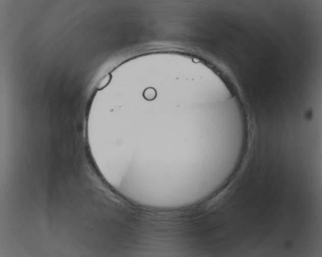 X0000115771365200912241741