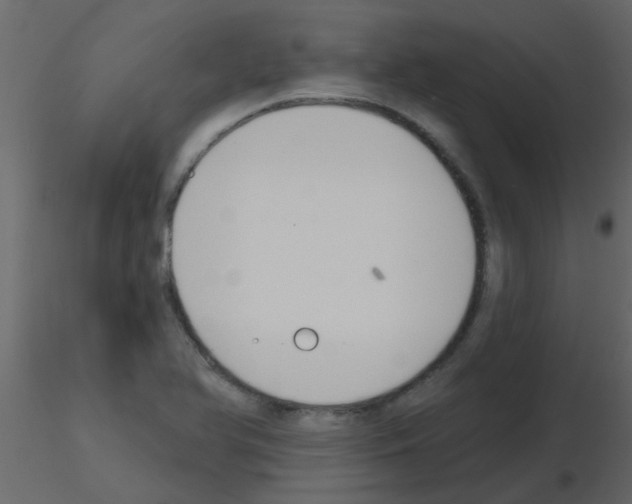 X0000115771366200912241741