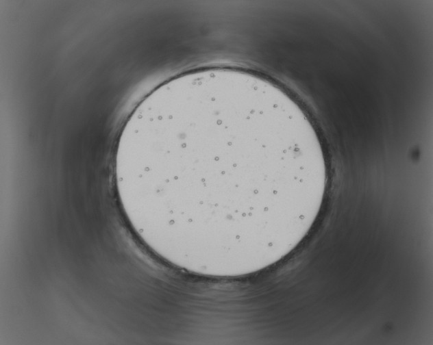 X0000115771367200912241741
