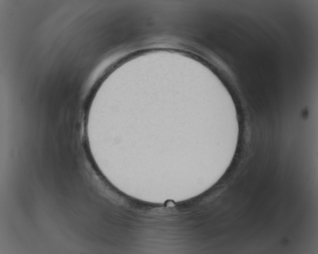 X0000115771368200912241741