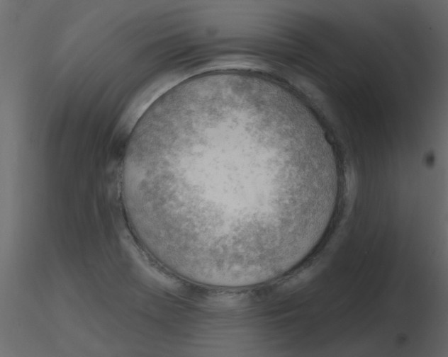 X0000115771369200912241741