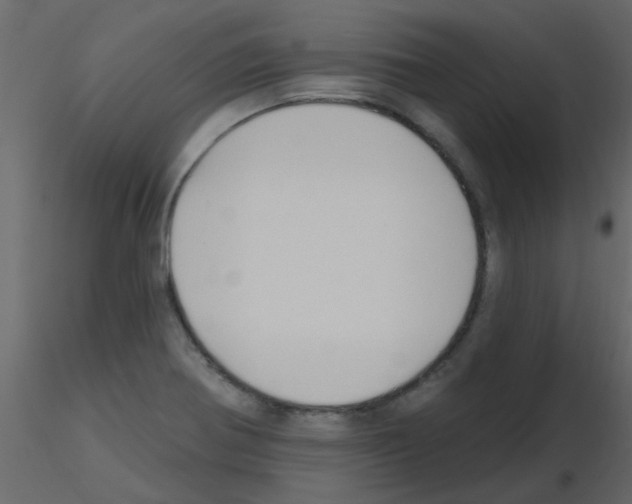 X0000115771370200912241741