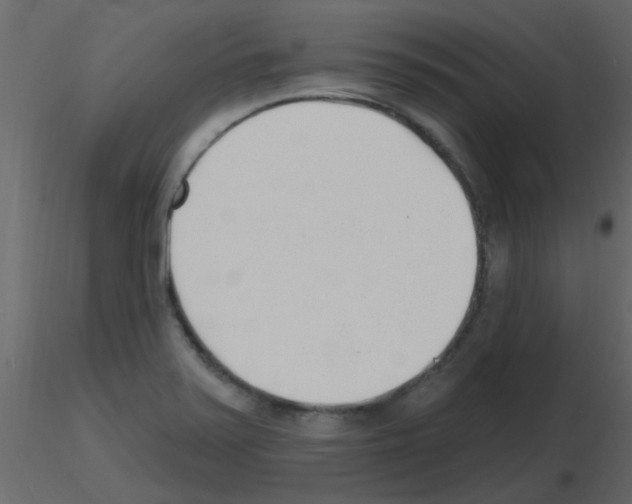 X0000115771371200912241741