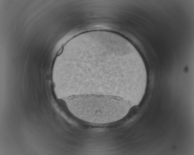 X0000115771373200912241741