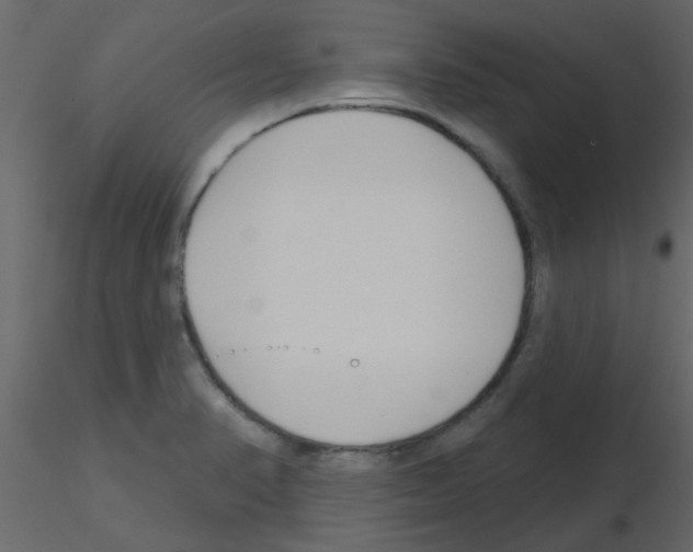 X0000115771374200912241741