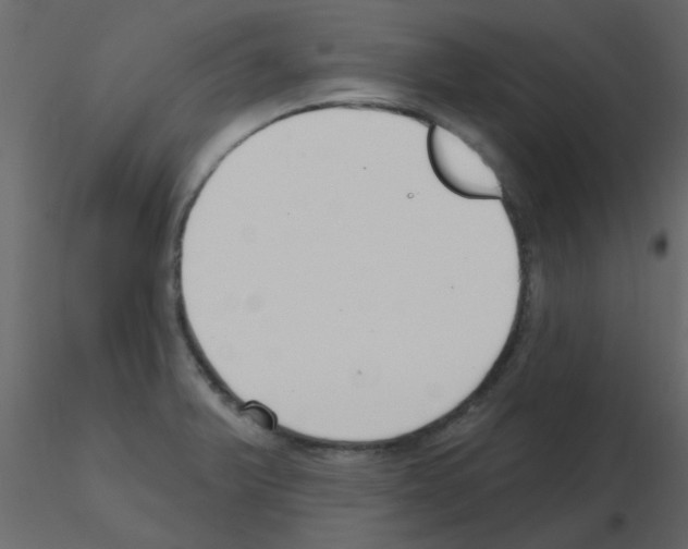 X0000115771375200912241741