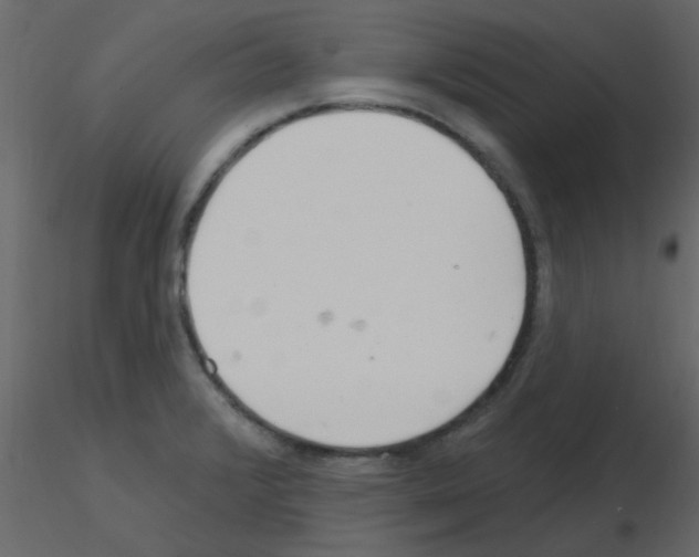 X0000115771376200912241741