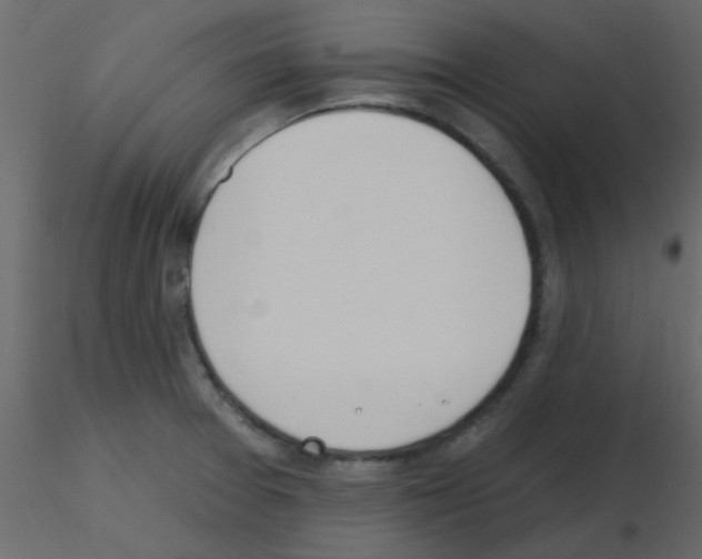X0000115771377200912241741
