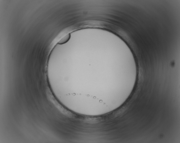X0000115771378200912241741