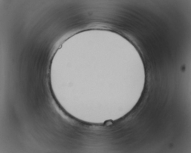X0000115771379200912241741