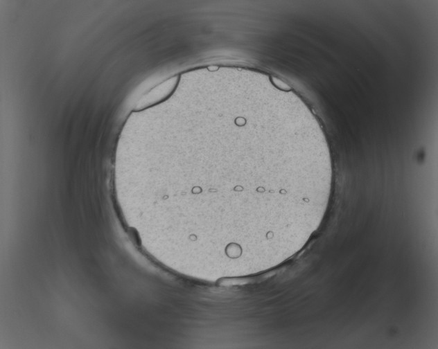 X0000115771383200912241741
