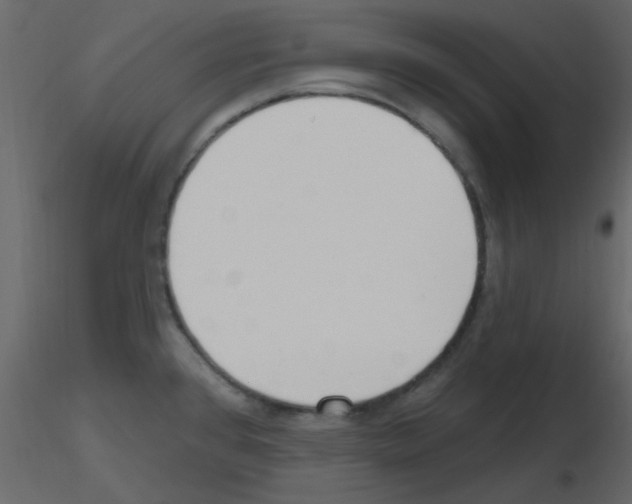 X0000115771384200912241741