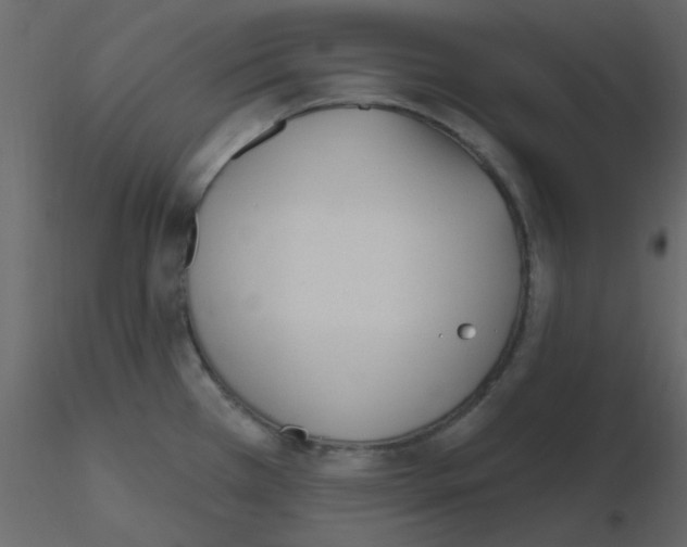 X0000115771385200912241741
