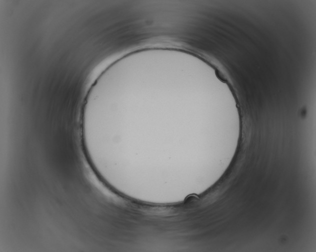 X0000115771387200912241741
