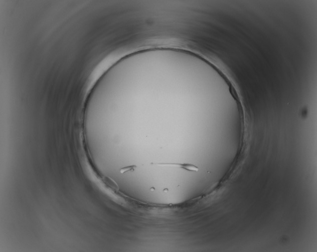 X0000115771389200912241741