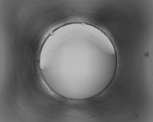 X0000115771392200912241740