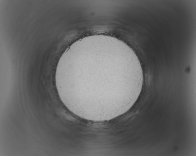 X0000115771393200912241740