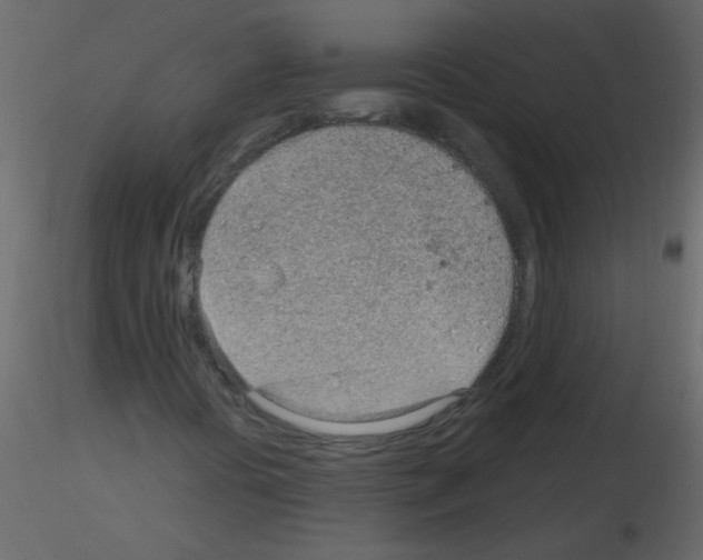 X0000115771394200912241740