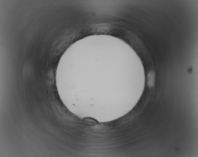 X0000115771395200912241740