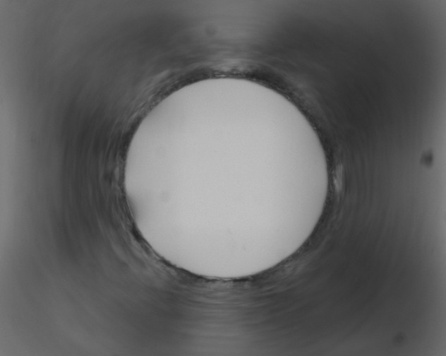 X0000115771396200912241740