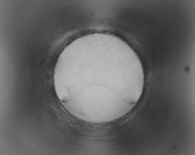 X0000115771398200912241740