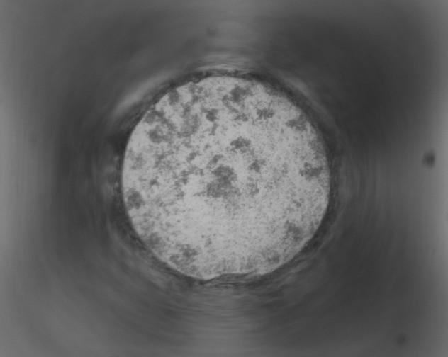 X0000115771399200912241740