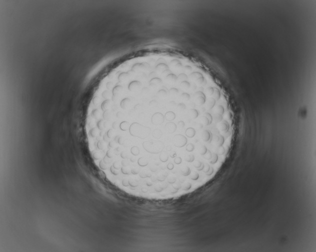 X0000115771400200912241740