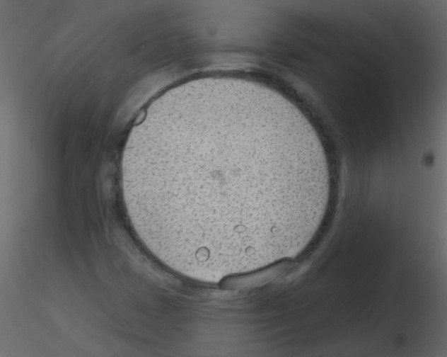 X0000115771401200912241740