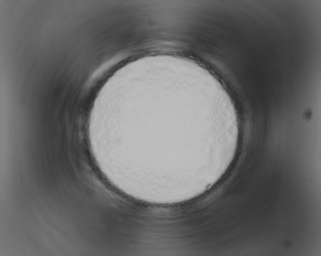 X0000115771402200912241740