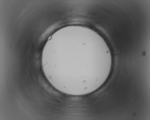 X0000115771403200912241740