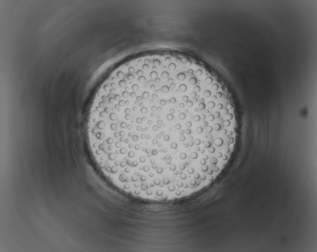 X0000115771404200912241740