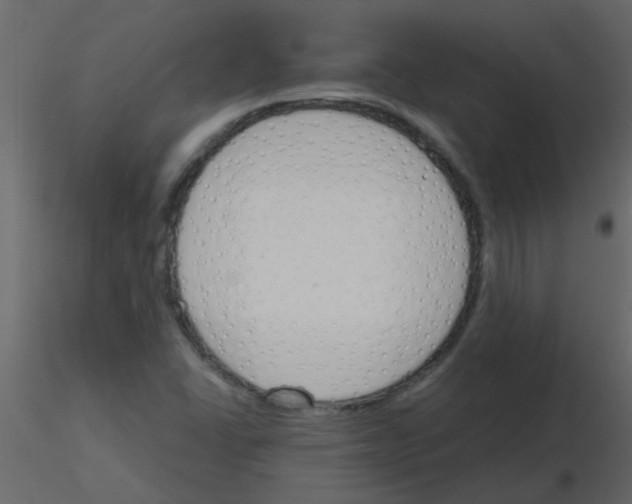 X0000115771406200912241740
