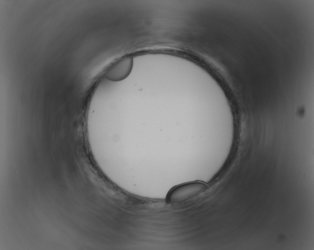 X0000115771407200912241740