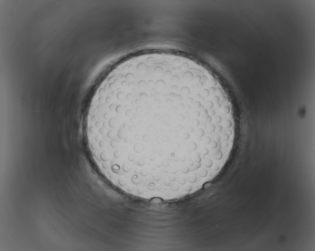 X0000115771408200912241740