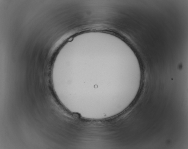 X0000115771410200912241740